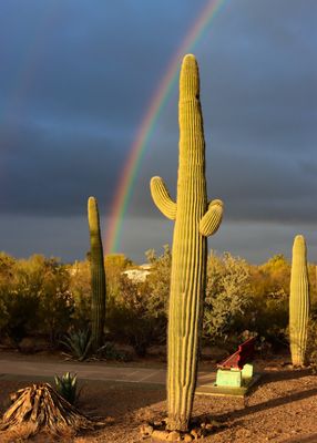 Early morning rainbow, February 16, 2022 8:36 a.m.