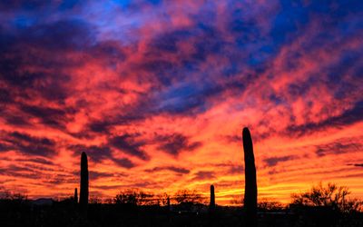 Sunset, March 25, 2017 7:59 p.m.