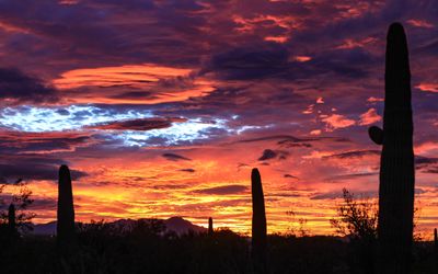Sunset, November 25, 2015 8:32 p.m.