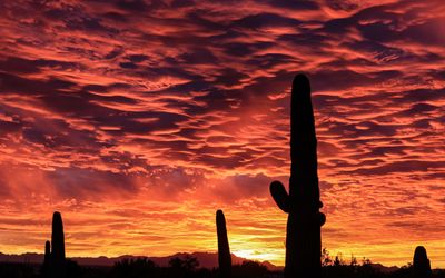 Sunset, November 29, 2018 6:33 p.m.