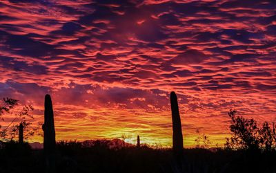 Sunset, November 29, 2018 6:35 p.m.