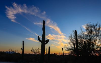 Five Acres in the Sonoran Desert - Skies – Arizona