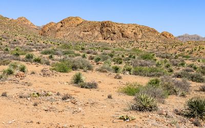 Large rock formation in Castner Range NM