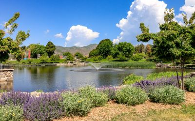 Ashley Pond, around which the laboratory once stood, in Manhattan Project NHP