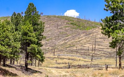 Valles Caldera National Preserve – New Mexico