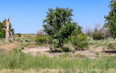 War Relocation Authority Administration area building foundation in Amache NHS