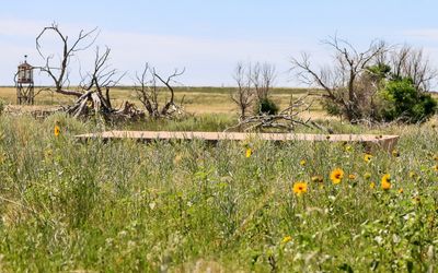 High School foundation with a Guard Tower looming in the distance in Amache NHS