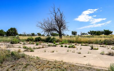 Foundation for the Block 12 H Mess Hall in Amache NHS