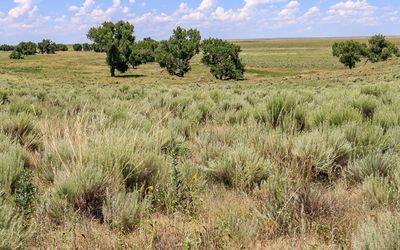Sand Creek Massacre National Historic Site – Colorado