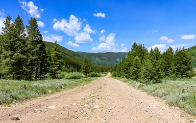Dirt road in the rifle range area in Camp Hale NM