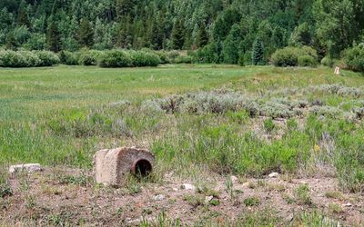Remnants of troop barracks in Camp Hale NM