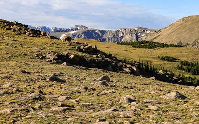 Mountain ridge over tundra in Rocky Mountain NP