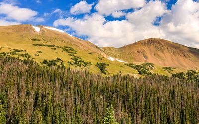 View along the west side of the Trail Ridge Road in Rocky Mountain NP