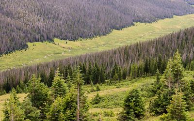The Fall River snakes through West Horseshoe Park in Rocky Mountain NP