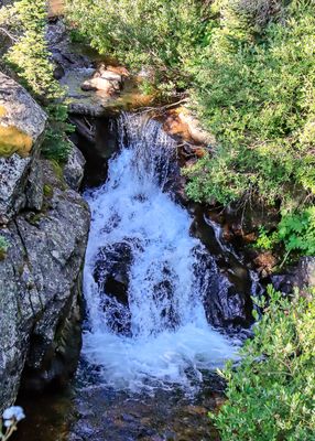 Waterfall below the Old Fall River Road in Rocky Mountain NP