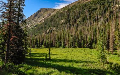 Mountains across a meadow along the Old Fall River Road in Rocky Mountain NP