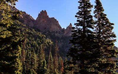 View of jagged peaks above the Old Fall River Road in Rocky Mountain NP