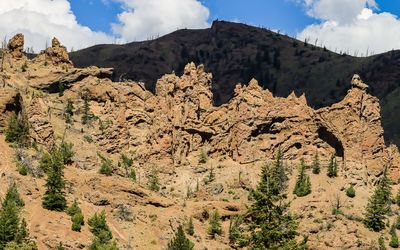 Twisted volcanic formation in Shoshone National Forest