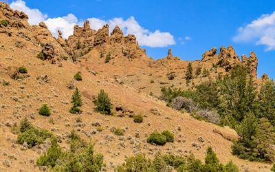 Rugged formations on a ridge in Shoshone National Forest