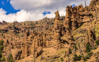 Twisted volcanic formations in Shoshone National Forest