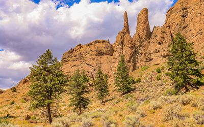 Weather worn formations in Shoshone National Forest