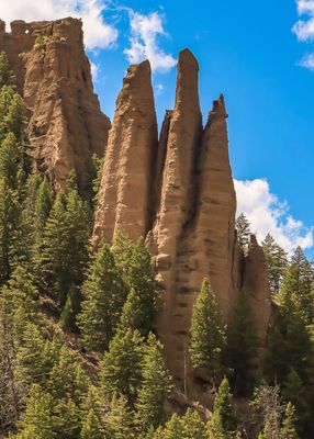 Pinacles among the trees in Shoshone National Forest