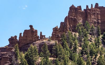 Worn volcanic rock on a ridge in Shoshone National Forest