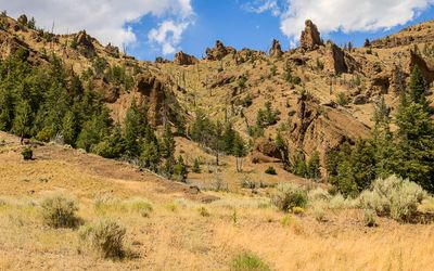 Jagged volcanic rock formations on a hillside in Shoshone National Forest