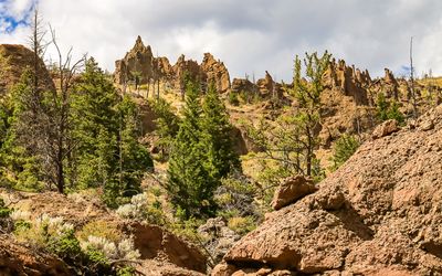 Volcanic formations on a ridge in Shoshone National Forest