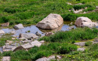 Large rocks in a small pond along the Beartooth Highway