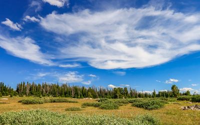 Wispy clouds over a meadow along the Beartooth Highway