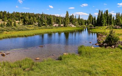 Pond near Beartooth Lake along the Beartooth Highway