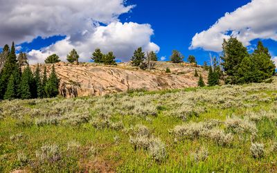Smooth rock outcropping along the Beartooth Highway