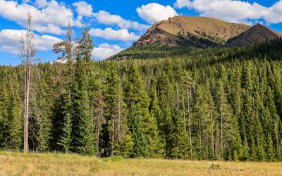 Beartooth Highway - Shoshone, Gallatin, Custer NF – Wyoming, Montana