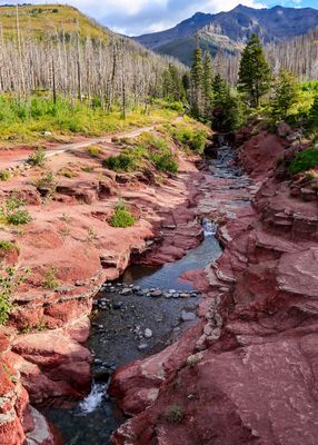 Red Rock Canyon in Waterton Lakes NP