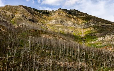 Towering mountains along the Akamina Parkway in Waterton Lakes NP