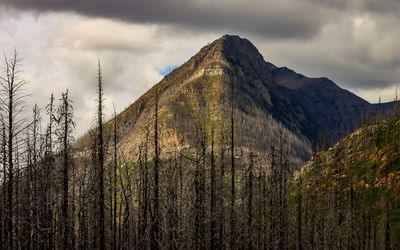 Mountain along the Akamina Parkway in Waterton Lakes NP
