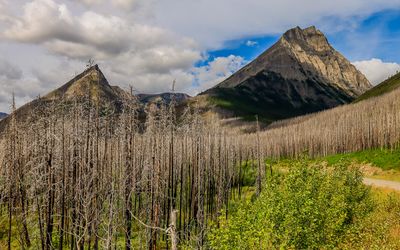 Rugged peaks along the Akamina Parkway in Waterton Lakes NP