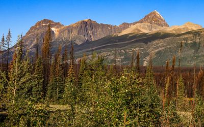 Steep mountains along the park road in Jasper NP