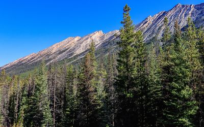 View of the Endless Chain Ridge in Jasper NP