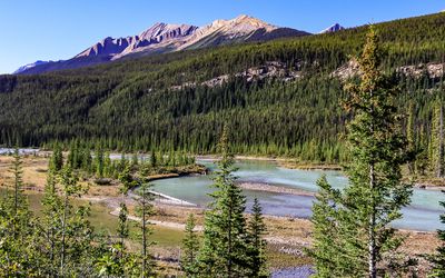 A glacial river with mountain peaks in the distance in Jasper NP