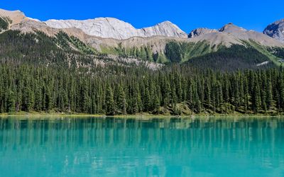 Mountains and forest viewed across Maligne Lake in Jasper NP