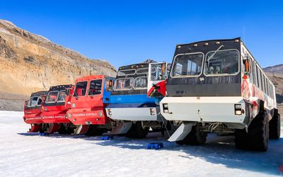 Ice Explorers lined up on the Athabasca Glacier in the Jasper NP Icefield