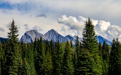 Mountain peaks along Highway 93 in Kootenay NP