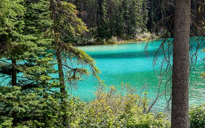 Small turquoise lake near Radium Hot Springs in Kootenay NP