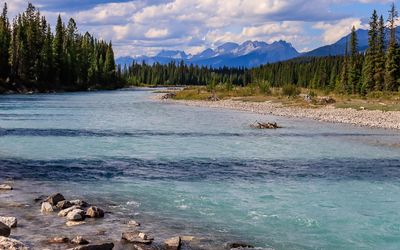 The Kootenay River along Highway 93 in Kootenay NP