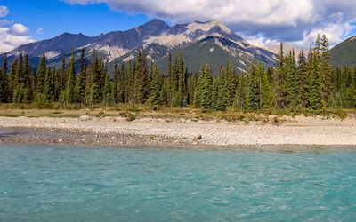 Mountains along the Kootenay River in Kootenay NP