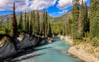 The turquoise glacial waters of Verdant Creek in Kootenay NP