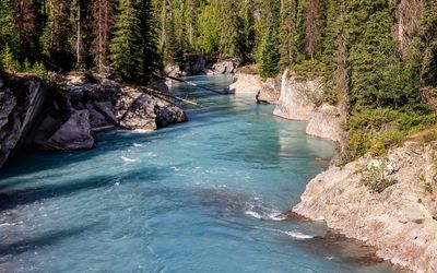 Closeup of Verdant Creek in Kootenay NP