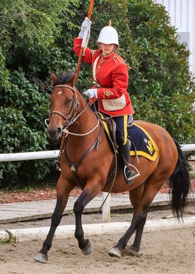 Member of the NWMP Musical Ride exhibition in Fort Macleod